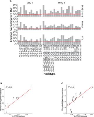 Transmembrane Helices Are an Over-Presented and Evolutionarily Conserved Source of Major Histocompatibility Complex Class I and II Epitopes